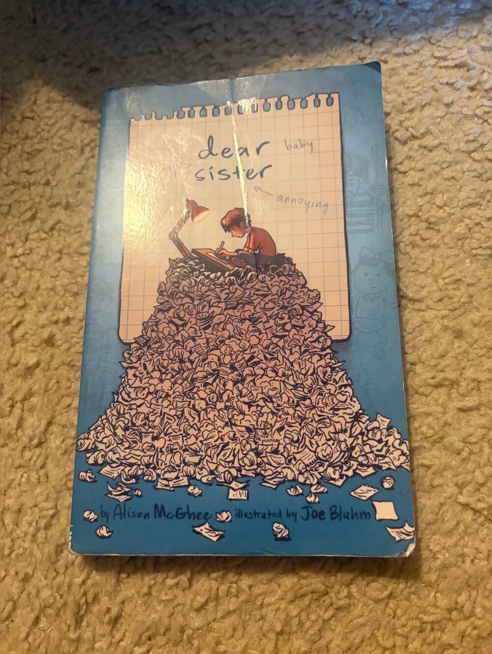 Dear Baby Sister By Alison McGhee